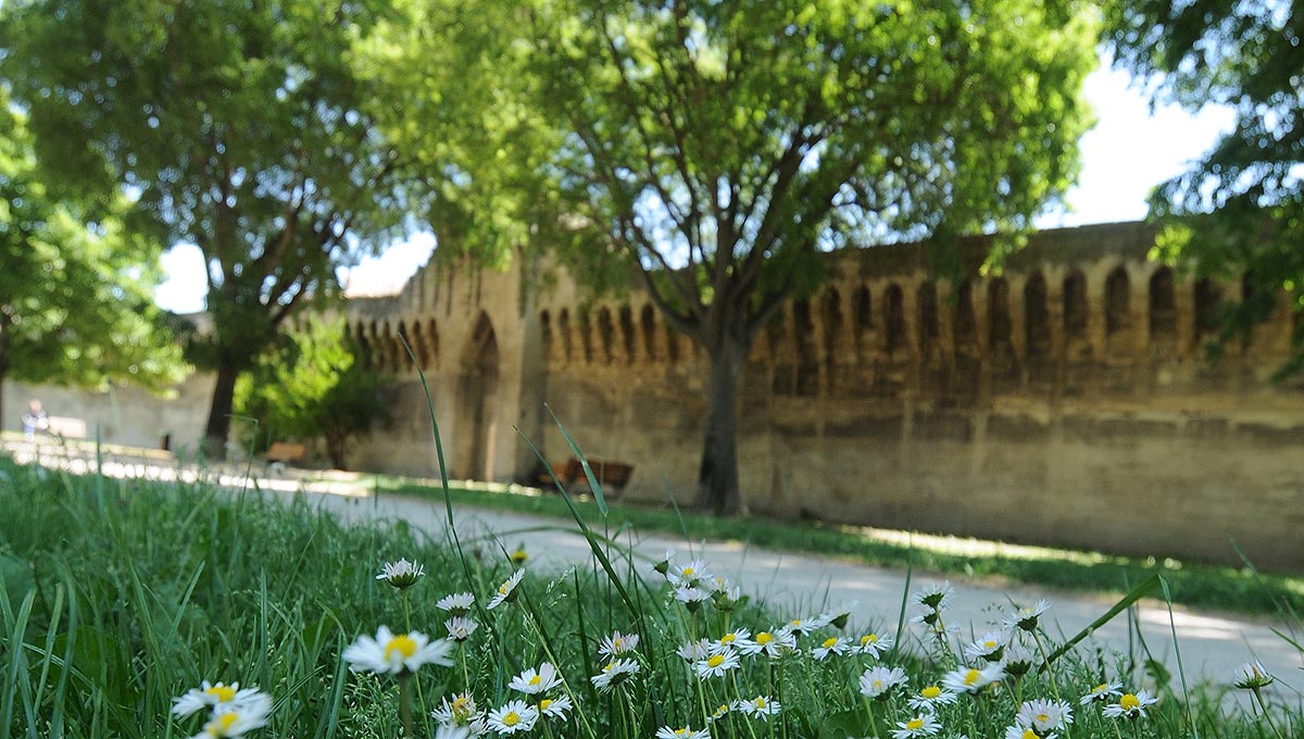 tour des remparts avignon parcours