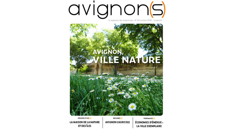 avignon(s) n°64