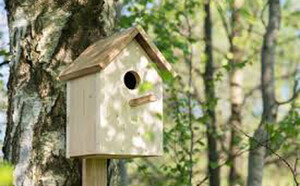 image d'un nichoir à oiseaux apposé sur un arbre